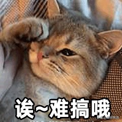 21fall留学申请时间规划,22fall留学申请关注事项