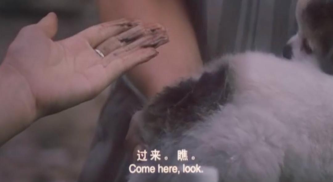 葛优不生孩子,葛优演的最好的一部电影