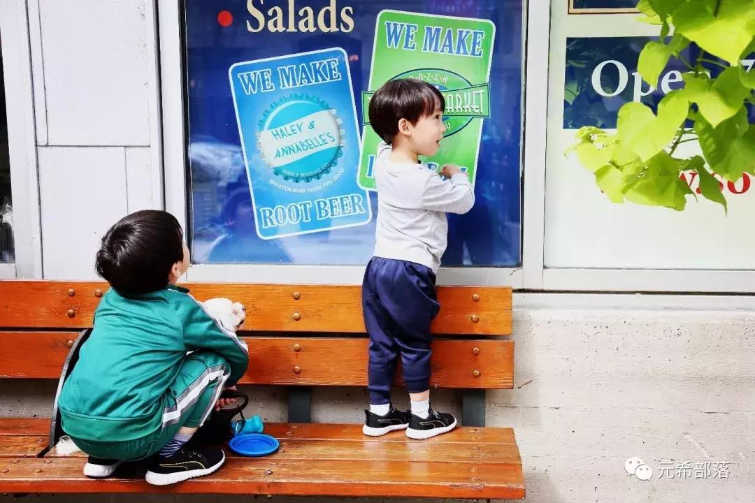 芝加哥及周边的好去处,芝加哥周边游玩