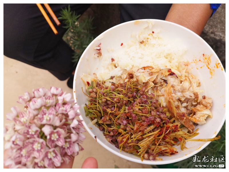 昆明大墨雨村攻略,昆明团结镇大墨雨村一日游