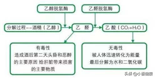 乙肝大三阳肝功能异常能生孩子吗,大三阳肝功能异常一般寿命多少年