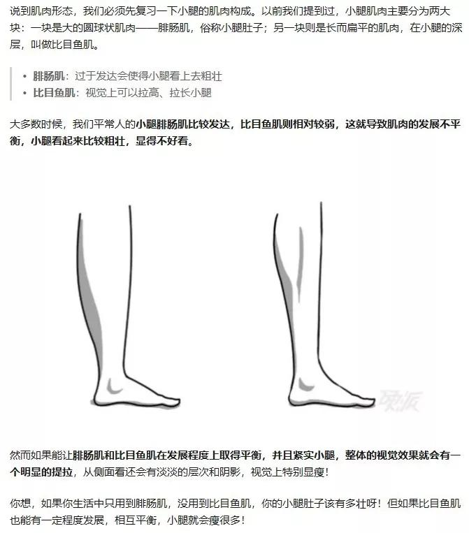 比目鱼肌训练会瘦小腿吗,怎么锻炼比目鱼肌瘦小腿