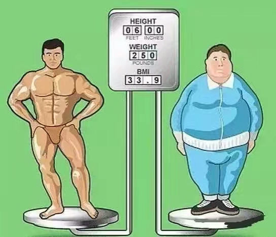 15张图看出十张算你厉害,15斤肉直观图