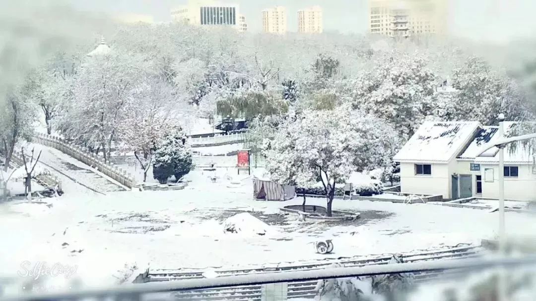 美爆了！让全世界听到，我的名字叫白银！！！