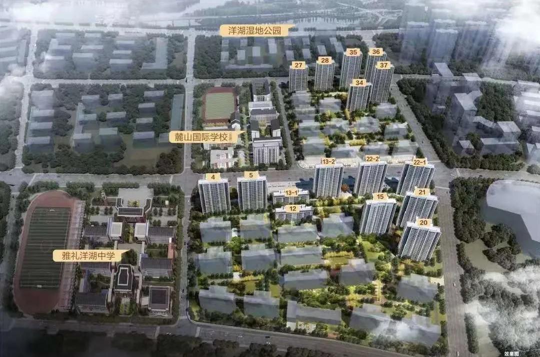 洋湖2025最新规划,洋湖发展