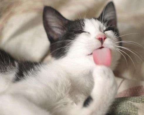 早晨的亲吻代表什么,早上的早安和晚上的晚安的重要性