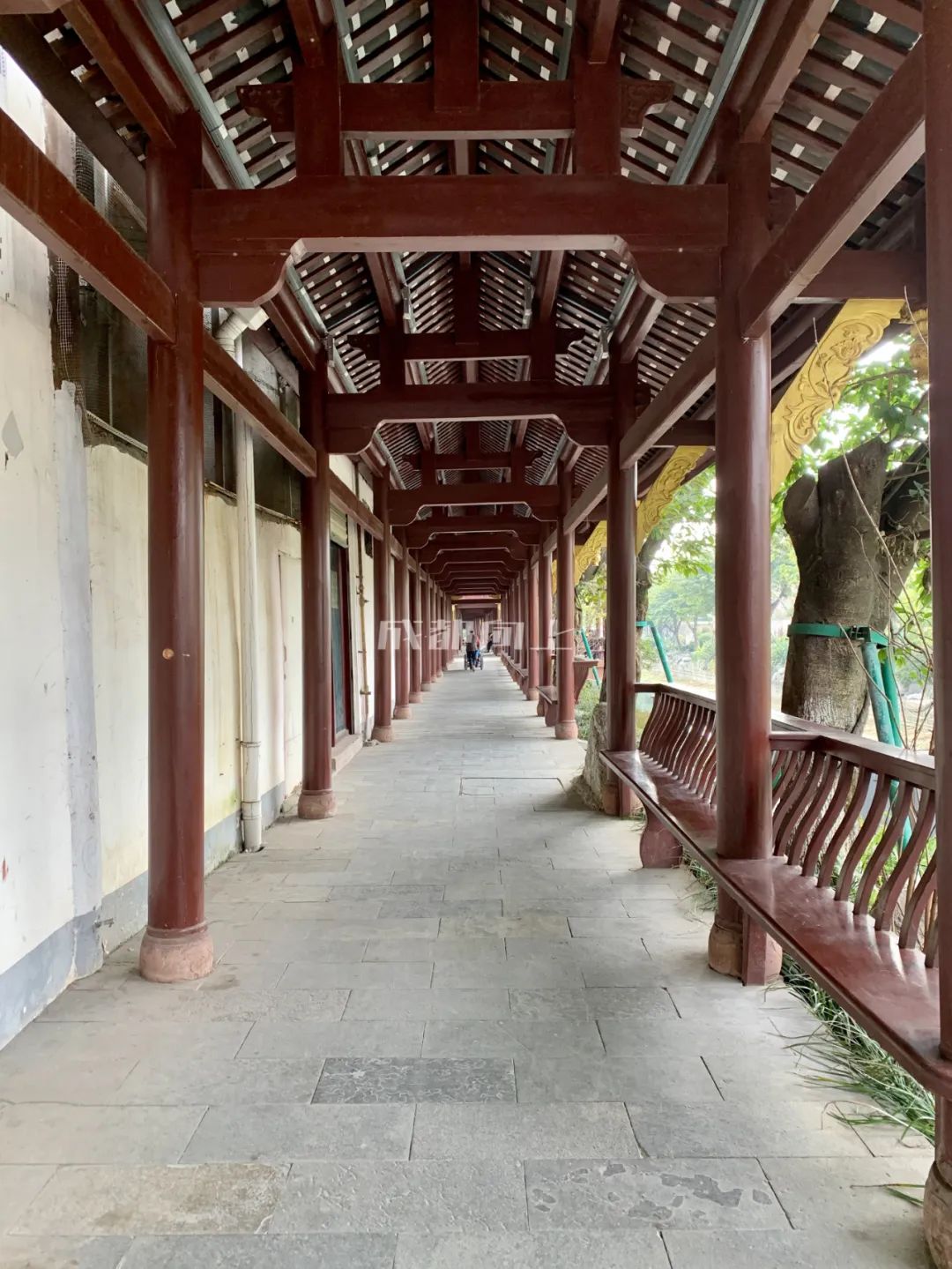 成都绿道风景美如画,成都周边哪条河边绿道最美