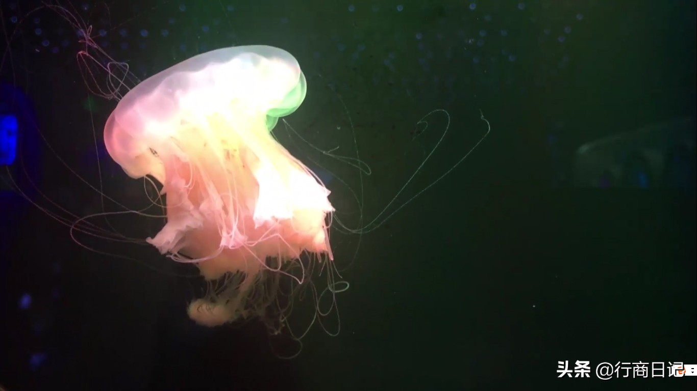 转一转：西单华威商场的潮铺街和约饭街，青春的味道