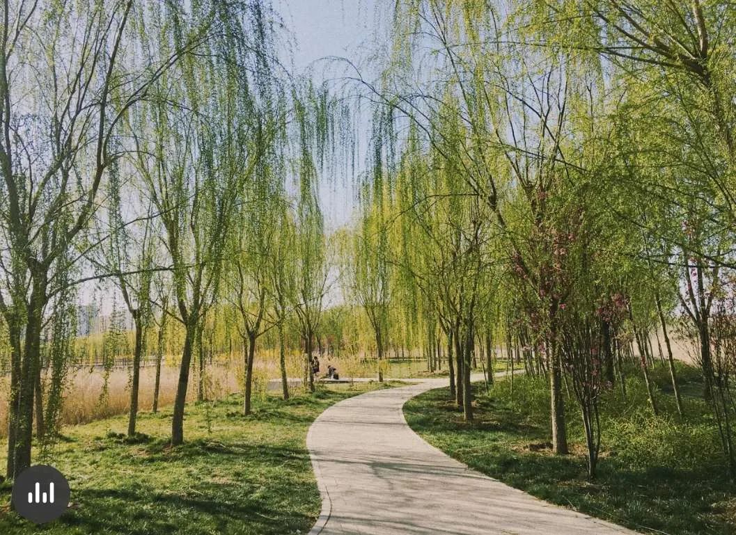 别再去挤故宫了！天津这些地界儿，足够你制霸五一朋友圈！