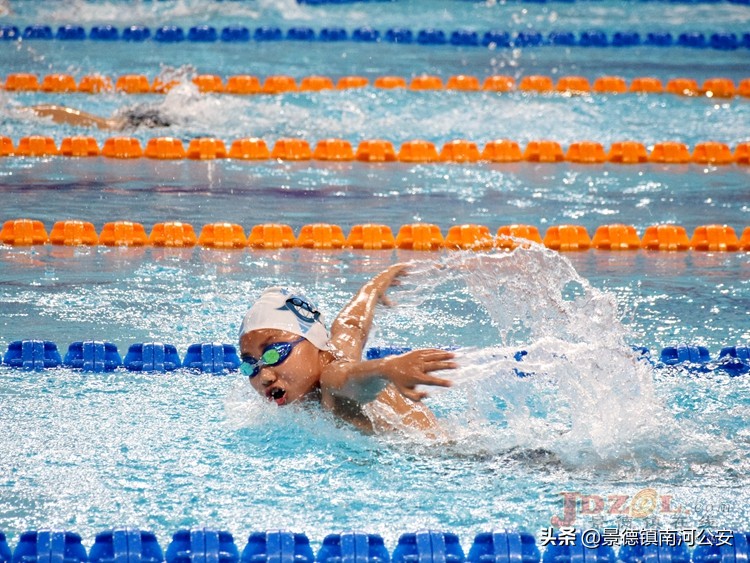 2024年游泳赛事赛程表江西,景德镇游泳比赛锦标赛2021