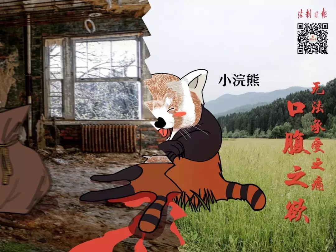 呼吁大家拒绝野味怎么说,拒绝野味该做到的事情