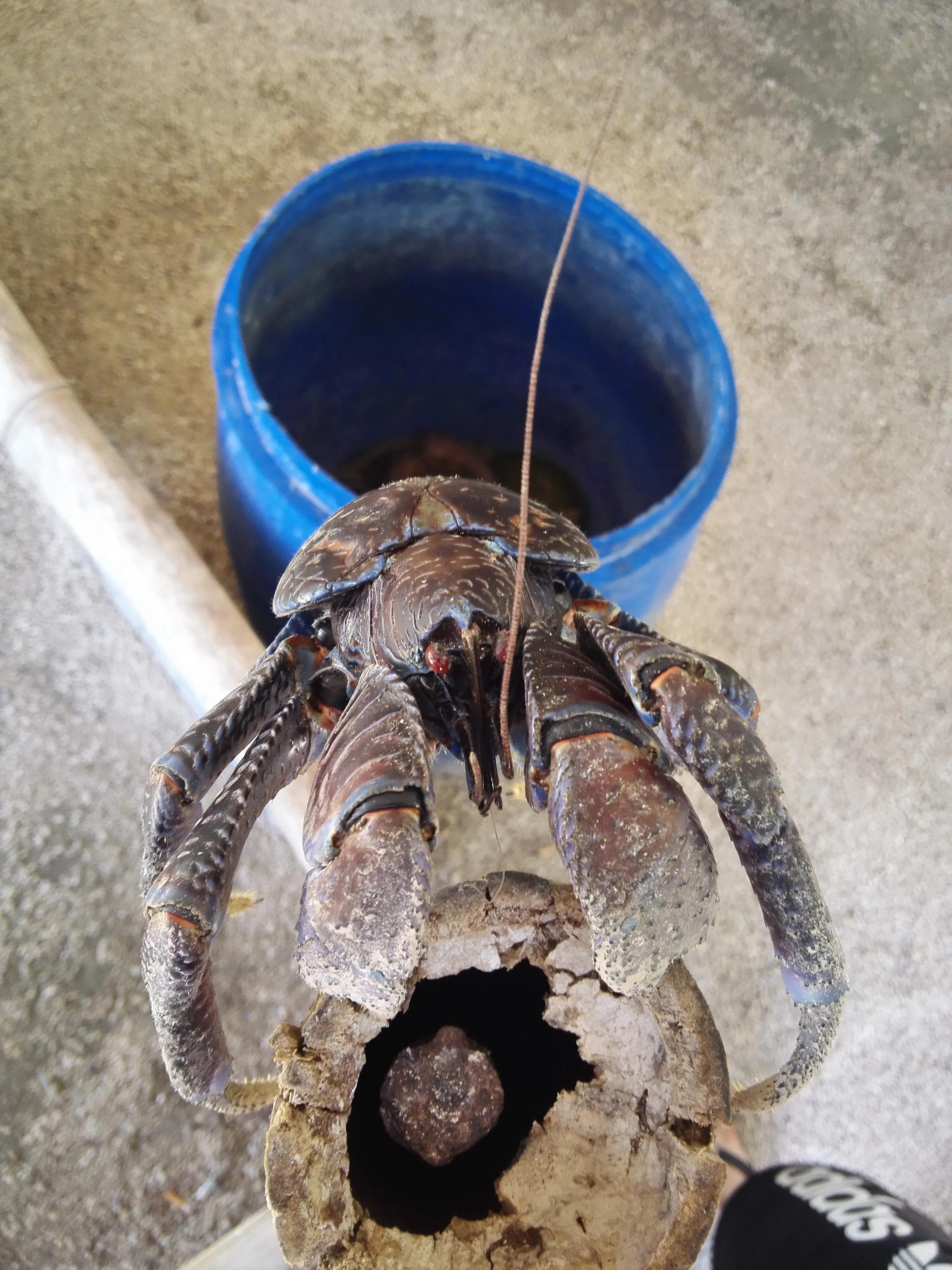 塞班水晶湾浮潜和军舰岛浮潜,塞班七彩海水