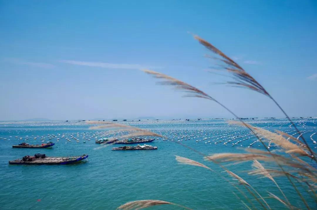 广州白天避暑好玩的地方推荐,广州哪里适合避暑旅游