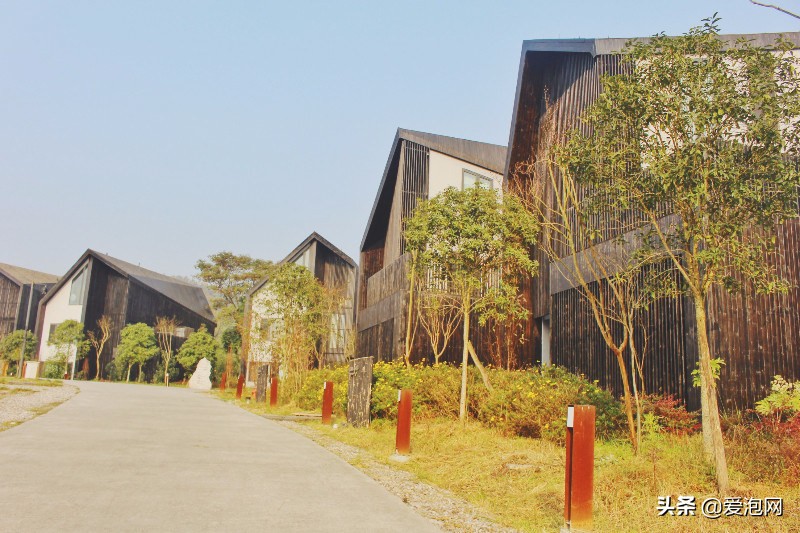 四川温泉最好的地方推荐,四川哪些天然温泉最好玩