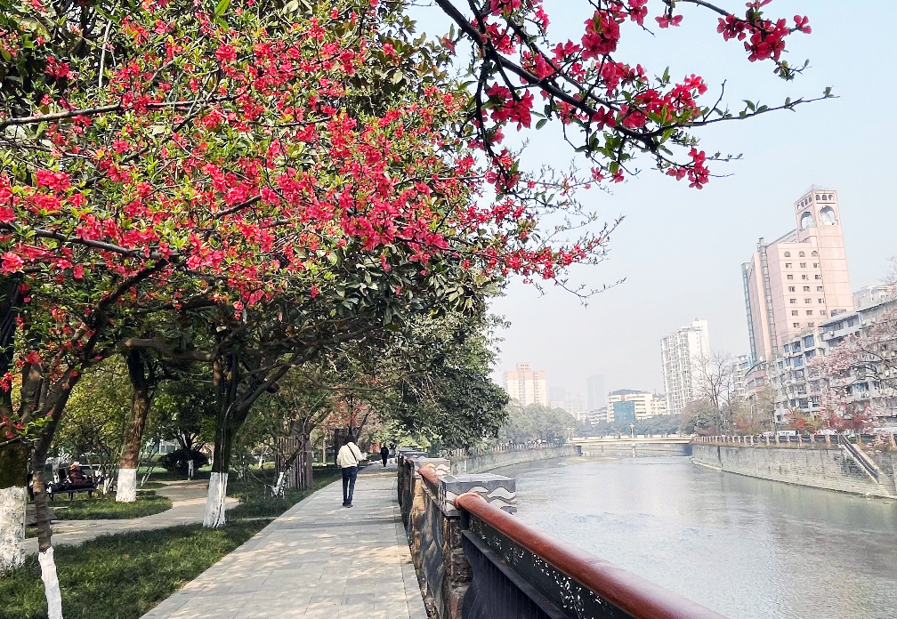 成都锦江公园上新,锦江公园上府河片区