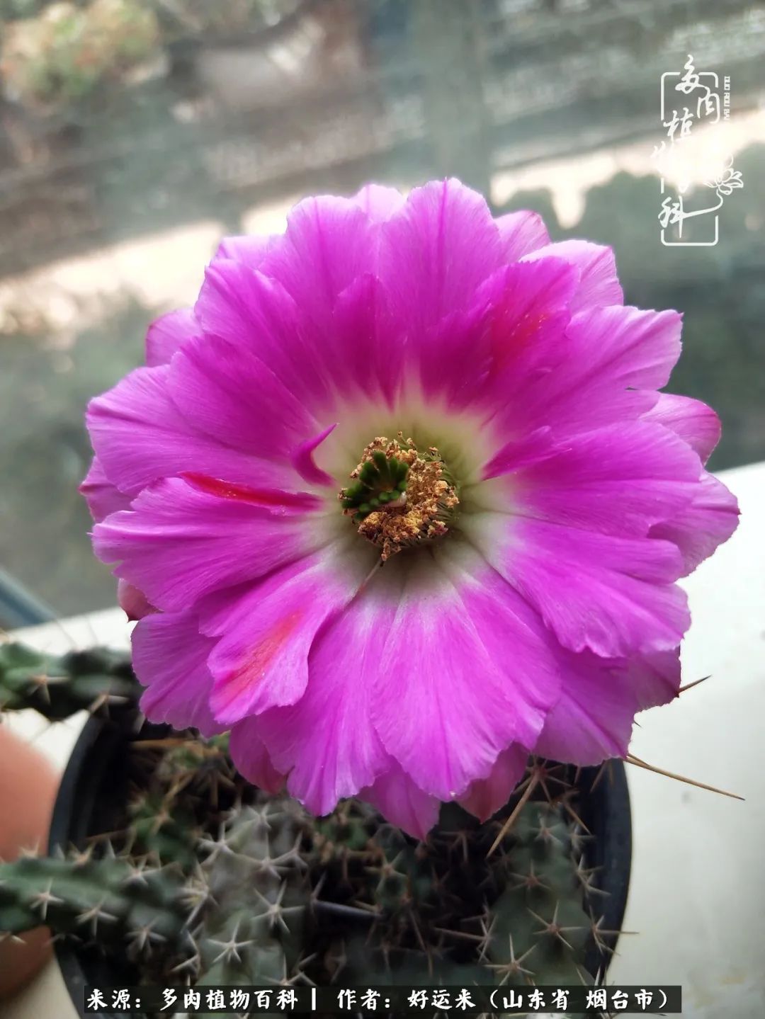 这世上怎么会有那么可爱的小可爱,这世上怎么有这么可爱的小生物