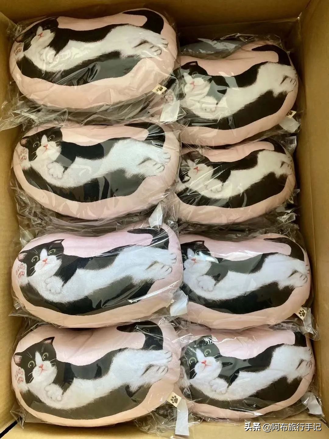 比撒钱刺激，种草日本杂货的最高境界，是把自己变成卖货郎！