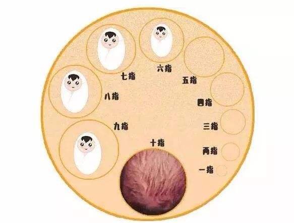 能顺产还是建议顺产,怎么就可以顺利的顺产