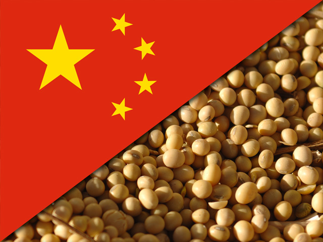 阿根廷到底想干嘛,阿根廷是不是有希望了