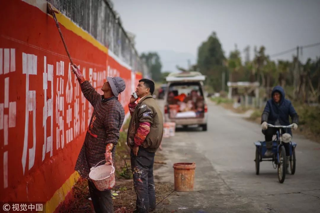 日本进口青提,日本原装进口青提