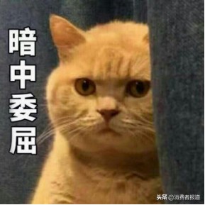 睡眠面膜真的能补水吗,睡眠面膜补水保湿测评