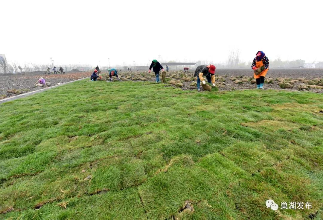 最好的人工草坪足球场,巢湖免费足球场