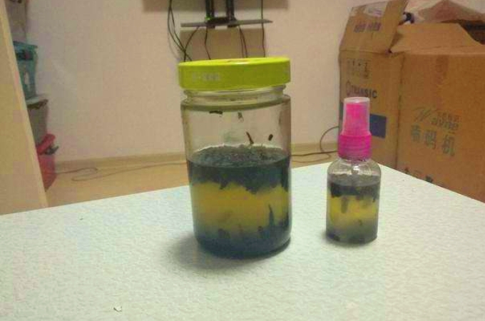 不花钱买自己做饵料钓大鲫鱼,带小药的鲫鱼饵料