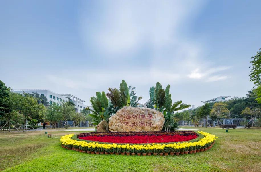 广州中医药大学2020年成人高考,广州中医药大学成人本科招生分数