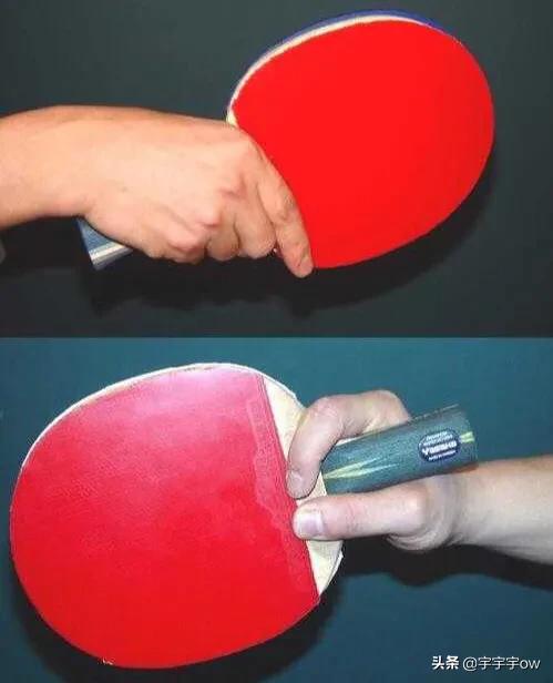 日式直拍的利弊,业余日式直拍