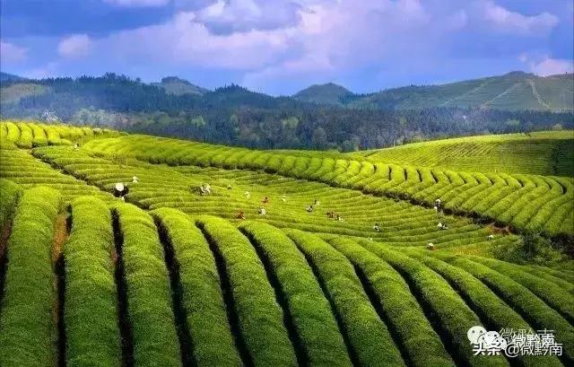 贵州都匀欢迎你,都匀公开招聘