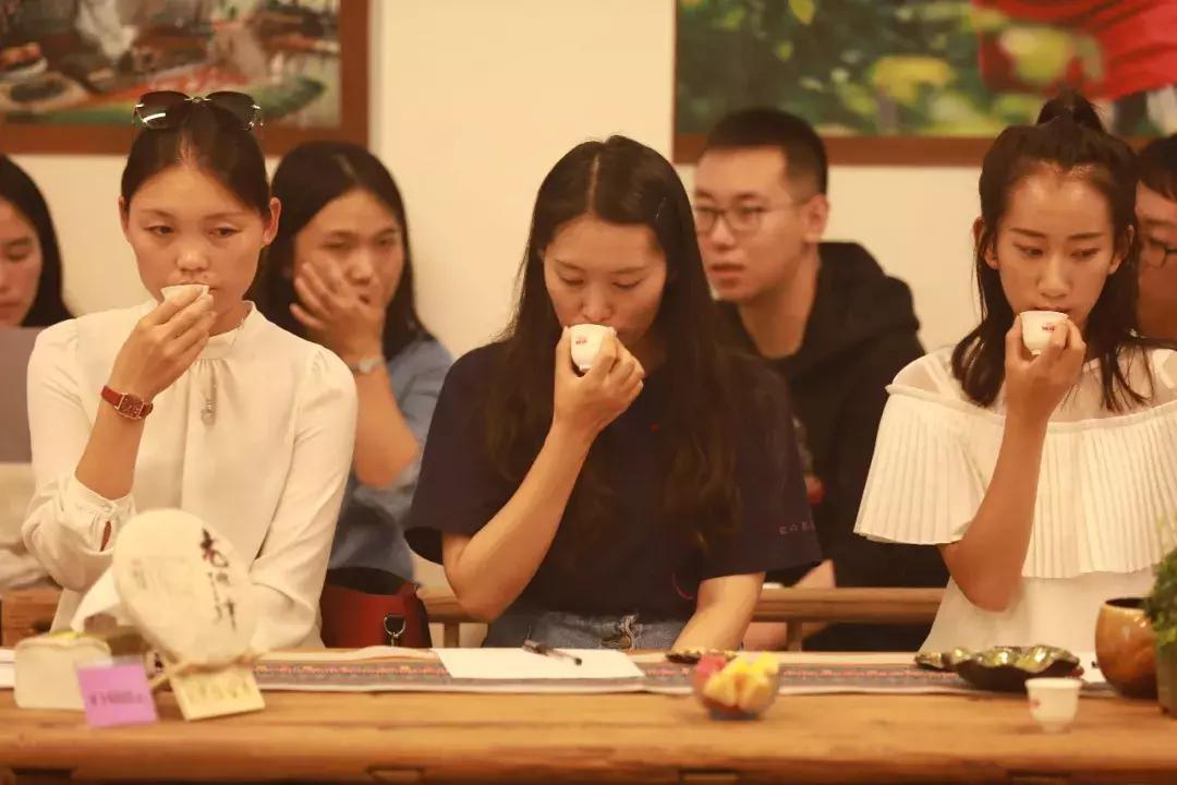 老班章古树熟茶品鉴会,熟茶班章古树茶