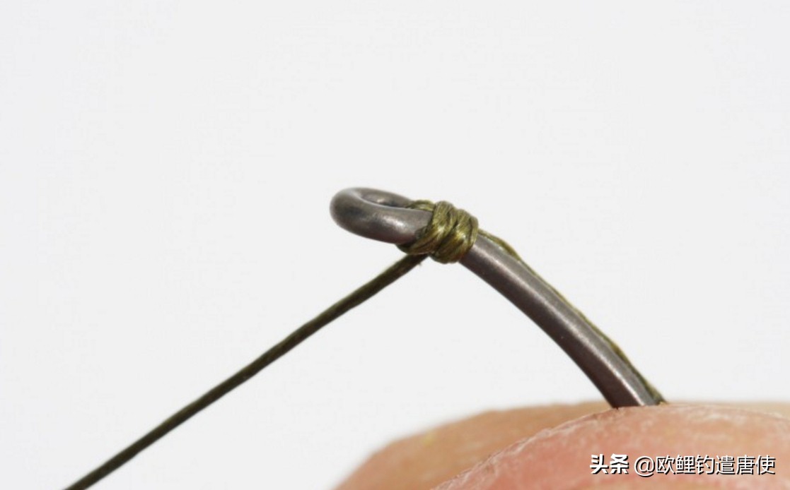 话说欧鲤钓诱饵篇,枯叶钓组和线辫钓组区别