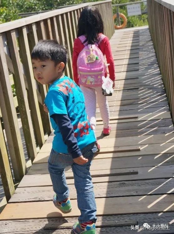 香港亲子游最佳路线图,香港亲子游攻略图