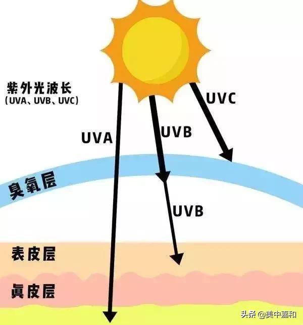 怎么区分黑痣与黑色素瘤,怎么区分黑色素瘤和痦子