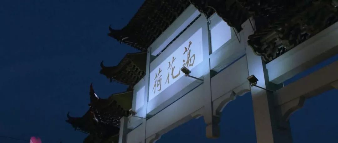 「淮安市作家“相约荷花荡”采风作品展」赵海洋：何不载荷归