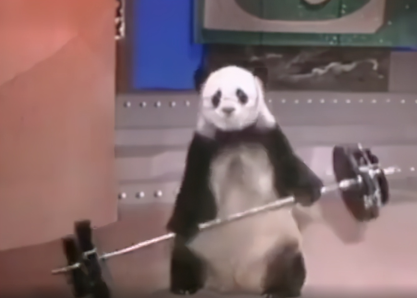 冬天里的一把火春晚,冬天里的一把火上过几次春晚