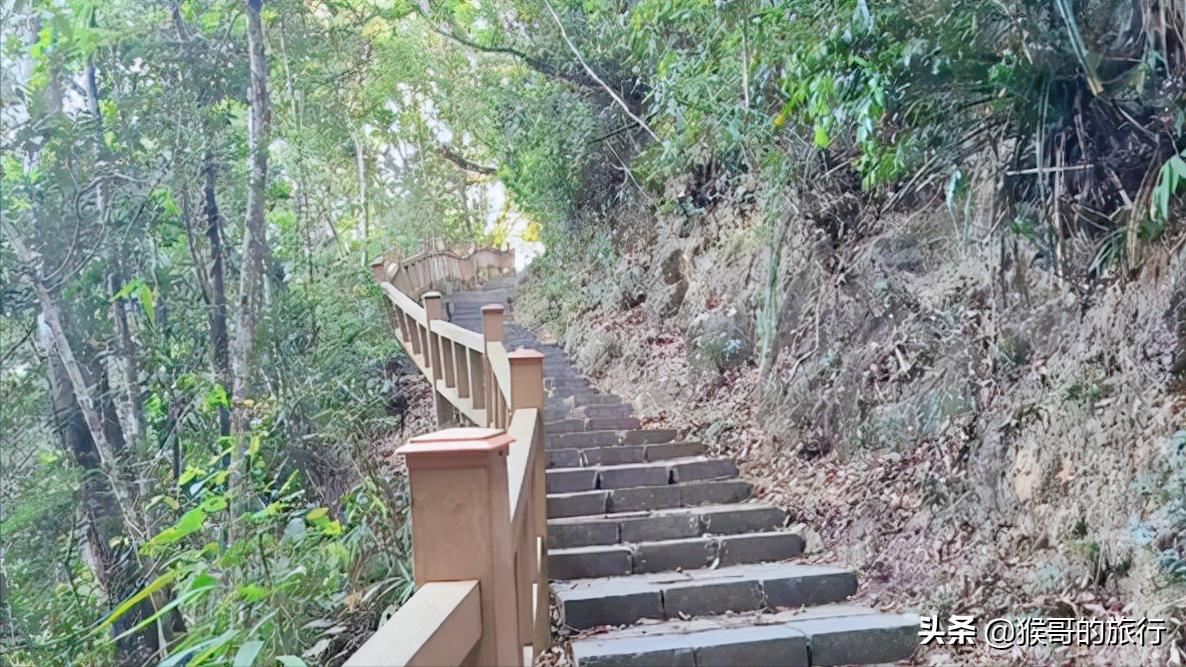 去尖峰岭看日出住哪里好呢,去乐东尖峰岭看日出的攻略