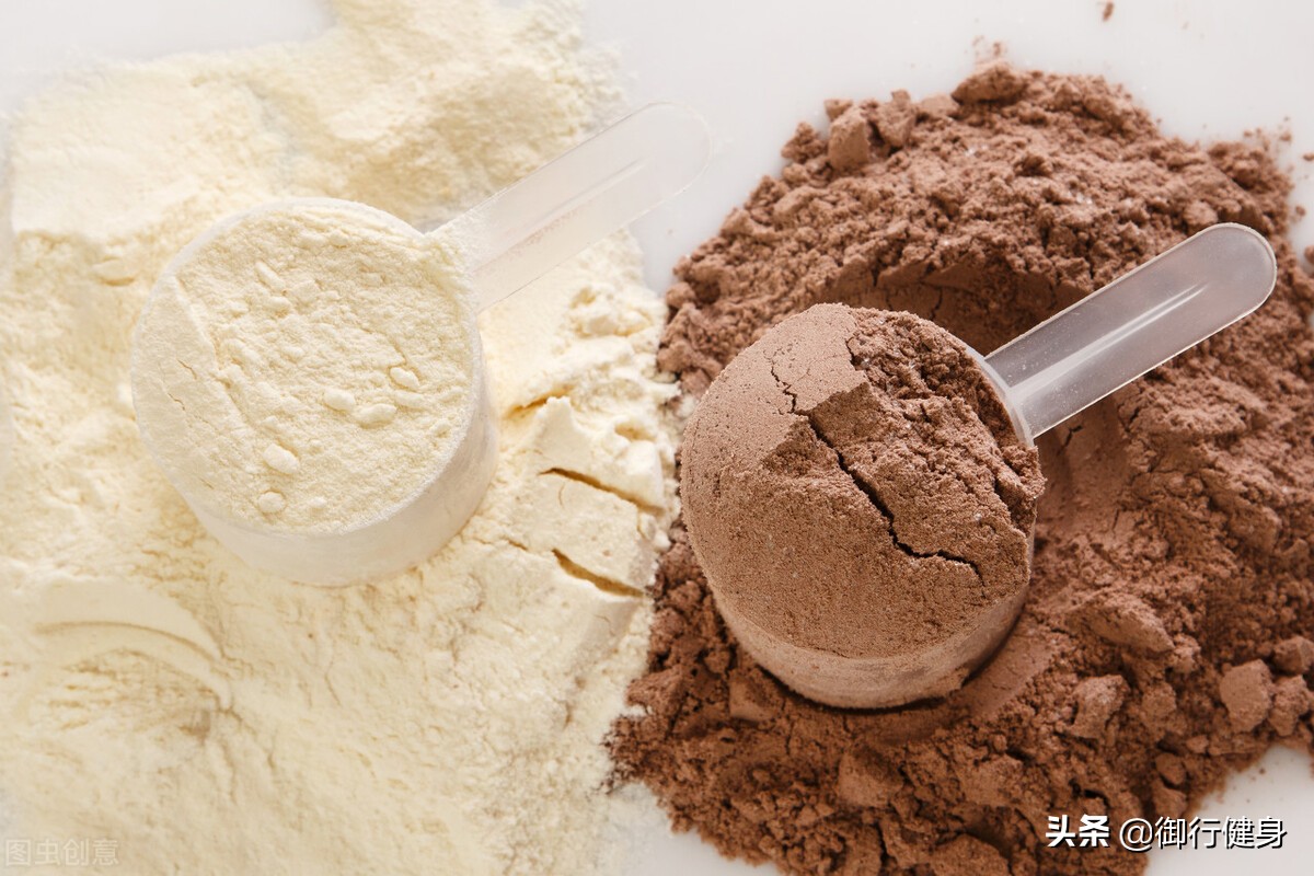 不锻炼的时候吃哪种蛋白粉 (初步健身者适合吃蛋白粉吗)