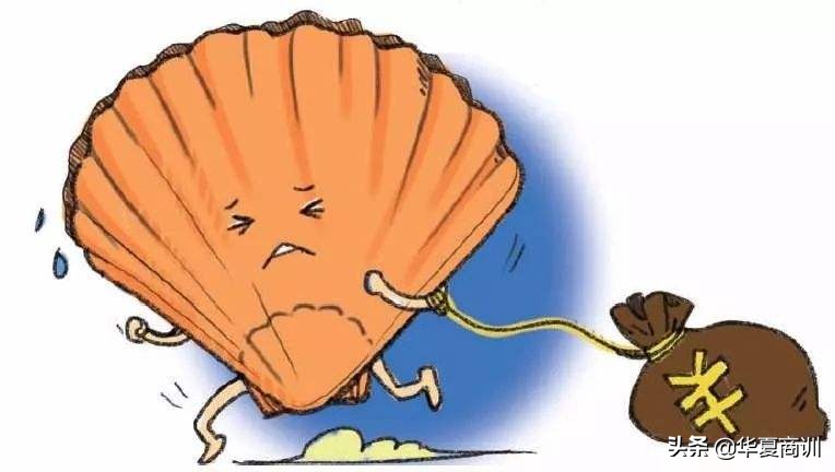 獐子岛扇贝跑了对股民影响,獐子岛扇贝事件股票