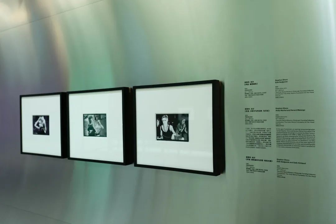 安迪沃霍尔有预言吗,安迪沃霍尔的预言