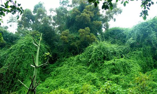 厦门适合爬的山,爬山还有哪些小知识