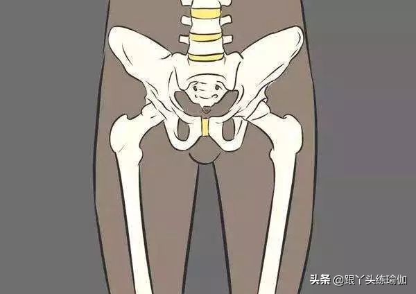 为什么有些人胯很宽,怎样练胯可以让胯变得更软