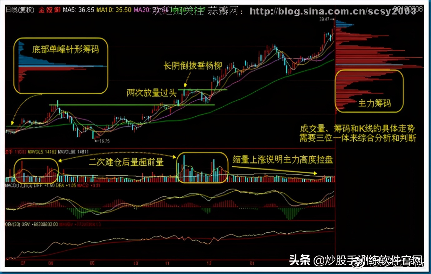 筹码分布图入门与技巧,筹码分布运用详解大全