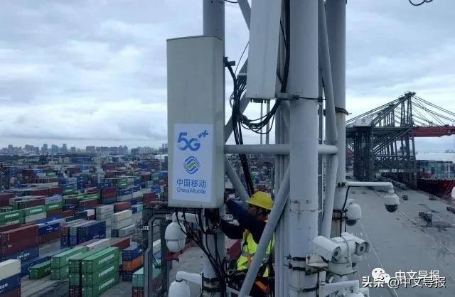 青岛国际海运航线,青岛海运航线