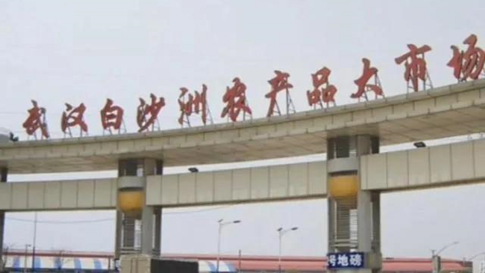 去蔬菜批发市场拿货做蔬菜生意,广东十大蔬菜综合批发市场
