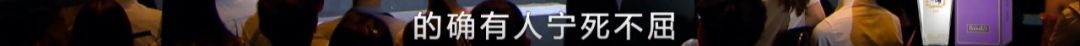 第二次安利这良心国综，都9.4了还不追