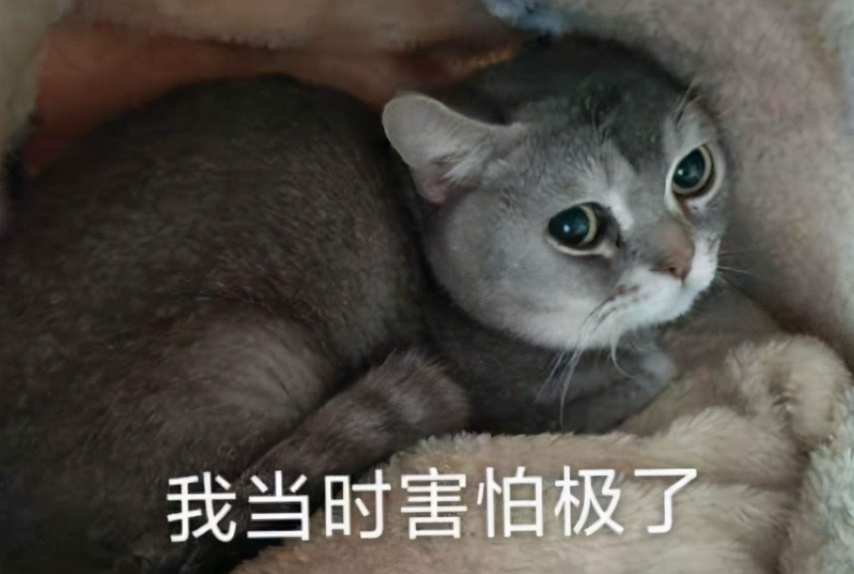 剑三充值后没通宝怎么办,剑三通宝代付划算还是换金币划算