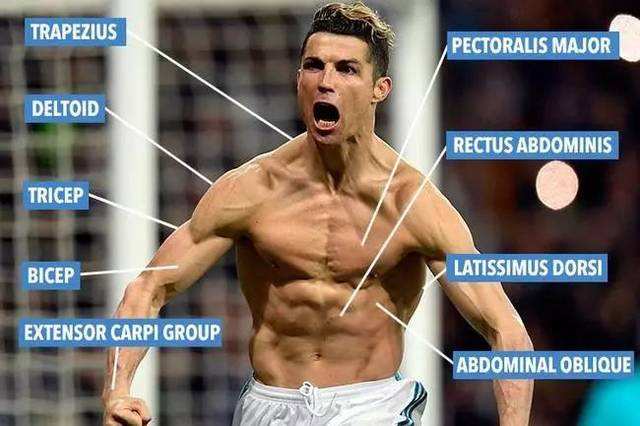 练一小时力量跑20分钟,十二分钟跑体能测试