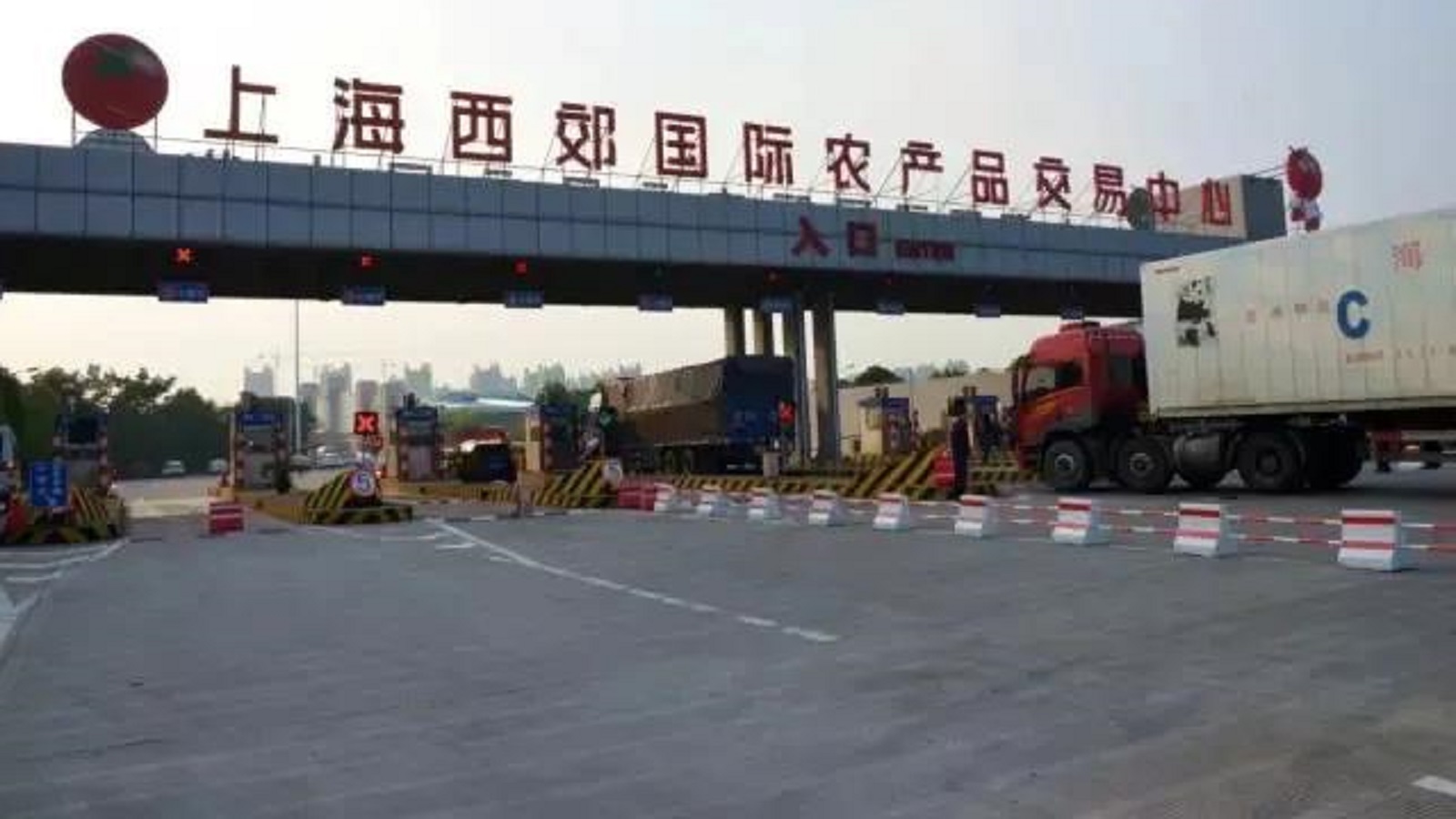 去蔬菜批发市场拿货做蔬菜生意,广东十大蔬菜综合批发市场