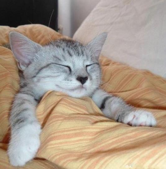 衡阳租房600元以下单间,衡阳附近租房300-500元二室一厅